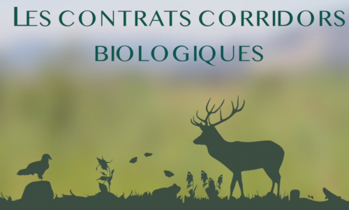 Nouveau film : Les contrats corridors biologiques